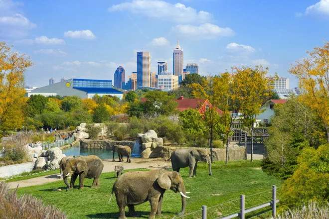 City Park Environmental Stewardship