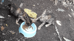Help those in need
