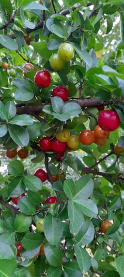 Nature Ecospace: Nurturing Environmental Stewards