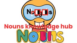 Nouns Knowledge Hub