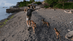 Help those in need