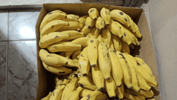 Help those in need