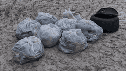 Beach Cleaners