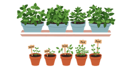 Public Gardens