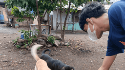 Help those in need
