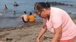 Beach Cleaners