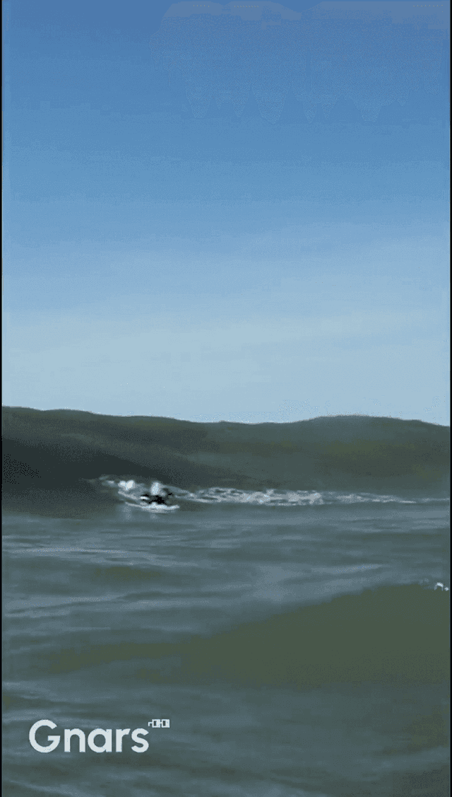 Sharp Wave Conquest