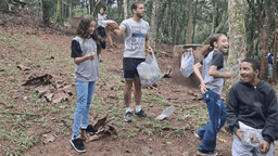 Community Improvement
