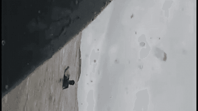 Digital Noggles Wave