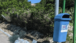 Beach Cleaners