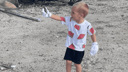 Beach Cleaners
