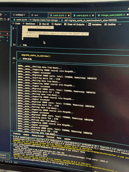 Nounish Software