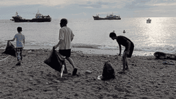 Beach Cleaners