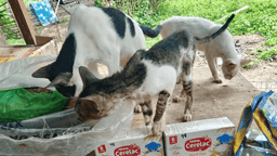 Help those in need