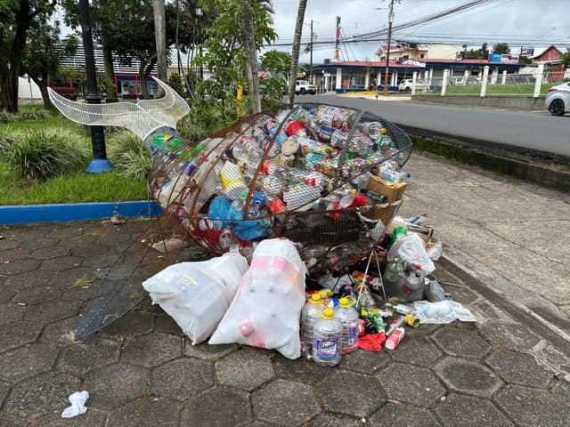 Midnight Trash Warriors Strike Again