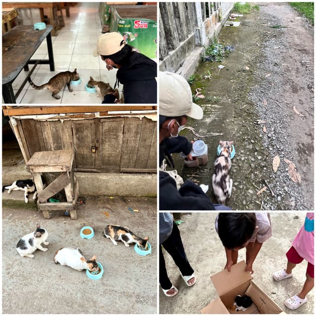 Children Mobilized for Cat Rescue