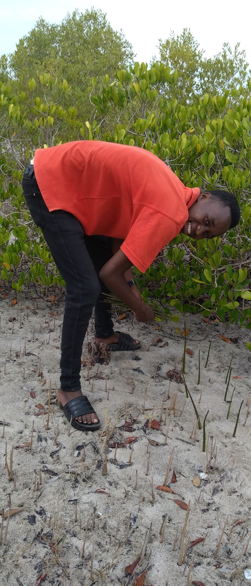 Tanzania's Mangrove Mission: First Steps
