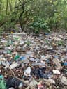 Limpeza de Praias - RJ Beach Cleanup